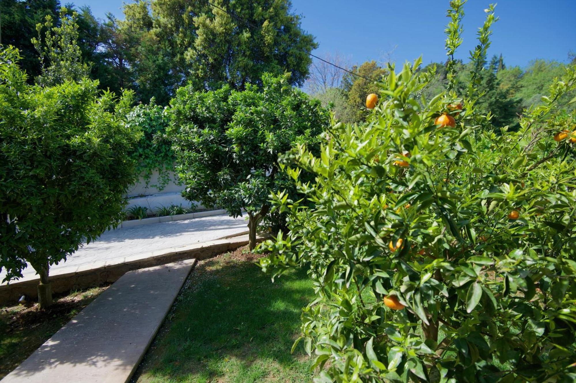 Villa Natilia Gazátika Dış mekan fotoğraf